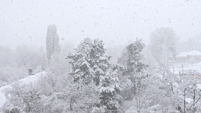 降雪视频下载