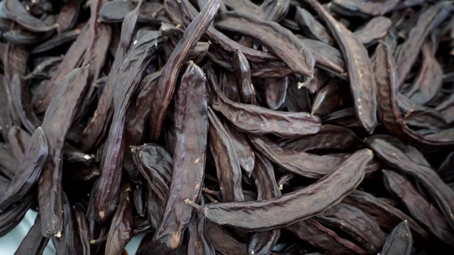 干角豆，大量角豆果实，重要的保健药用食品角豆，重要的保健药用食品蝗虫，视频素材