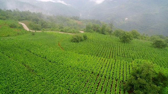 秦岭山村鸟瞰图，陕西，中国。视频素材