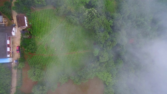 秦岭山村鸟瞰图，陕西，中国。视频素材