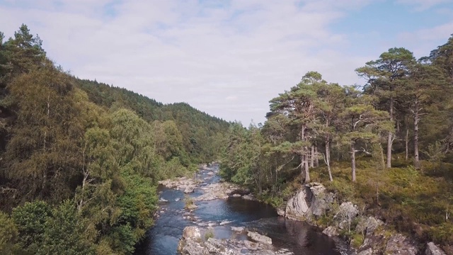 河流的鸟瞰图被一个巨大的森林和山脉的背景。神奇的苏格兰风景视频素材