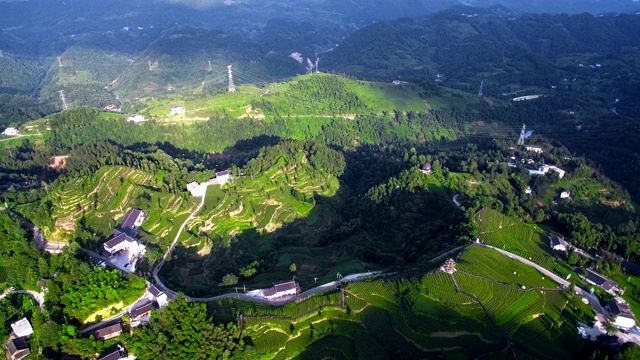 鸟瞰图茶园和村庄，湖北，中国。视频素材