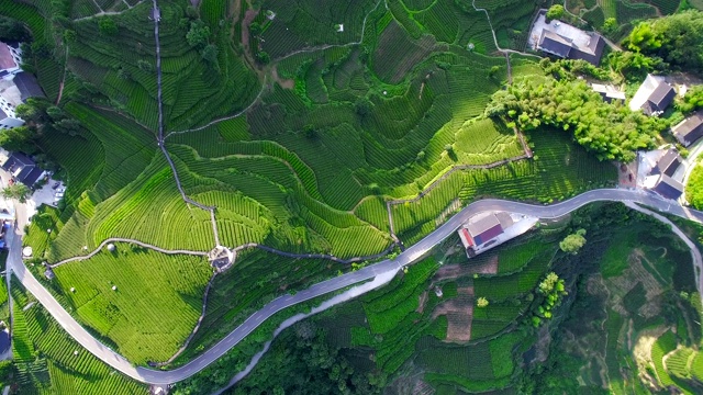 鸟瞰图茶园和村庄，湖北，中国。视频素材