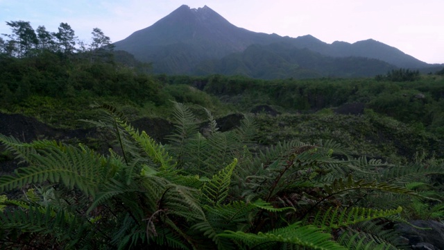 日出时的默拉皮火山美景视频素材