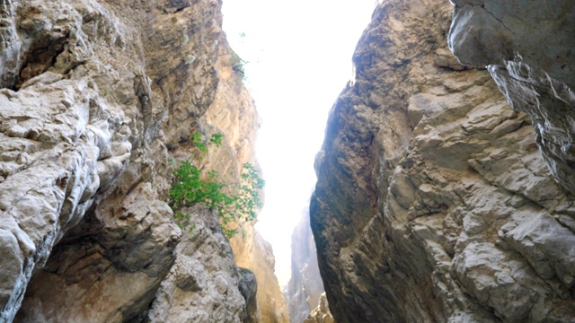 美丽的高灰色悬崖。明亮的天光照亮岩石峡谷。风景优美的自然景观。旅行或徒步旅行的概念。慢动作低角度视图视频素材