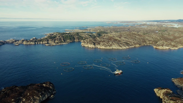 无人机拍摄:挪威的大海和峡湾视频素材