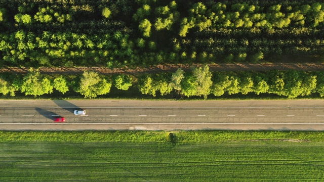 顶部视图的道路与运输之间的田野和树木视频素材