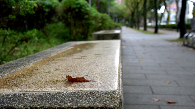 椅子，公园里的步道。亚洲的秋景。雨天。视频素材