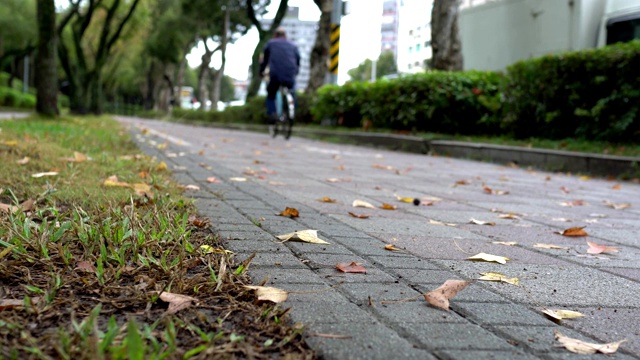 公园里的小路。在雨天。低角度。主题在右边。视频素材