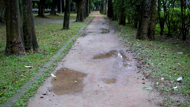 小道上的水坑。雨天，在公园里。视频素材