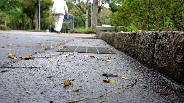 公园里的小路。在雨天。人走过。视频素材