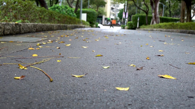 公园里的小路。在雨天。视频素材