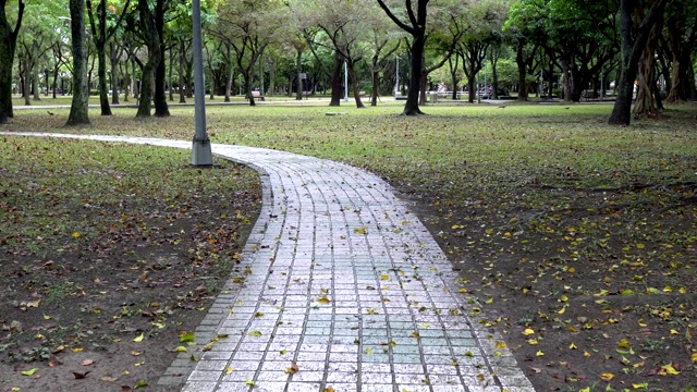 公园里的小路。在雨天。视频素材