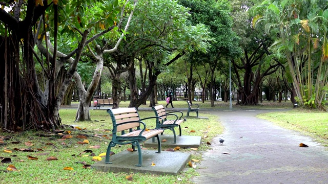 椅子，公园里的步道。亚洲的秋景。雨天。视频素材