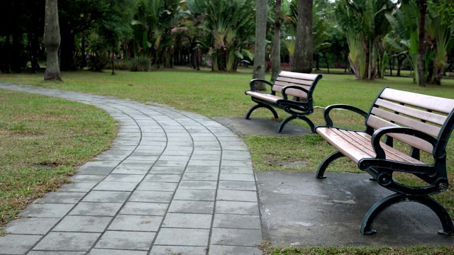 椅子，公园里的步道。亚洲的秋景。雨天。视频素材