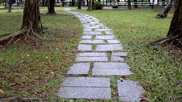 公园里的小路。在雨天。视频素材