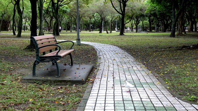 椅子，公园里的步道。亚洲的秋景。雨天。视频素材