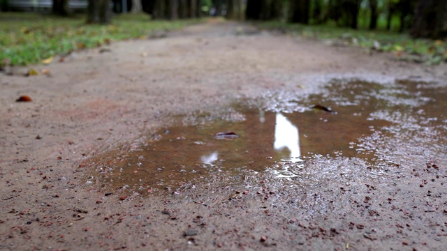 小道上的水坑。雨天，在公园里。视频素材