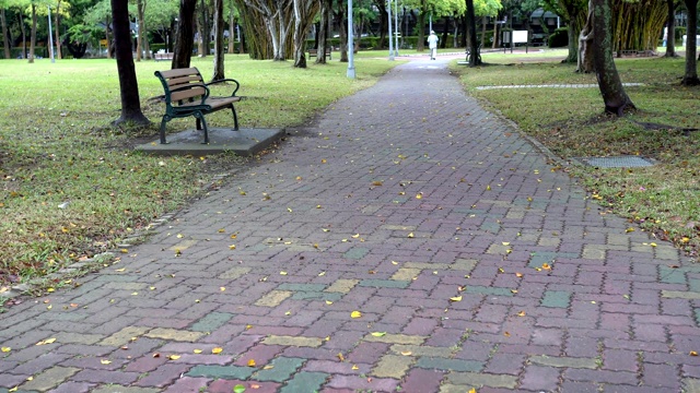 公园里的椅子和步道。在雨天。视频素材