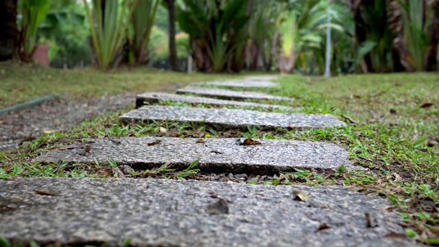 公园里的小路。在雨天。视频素材