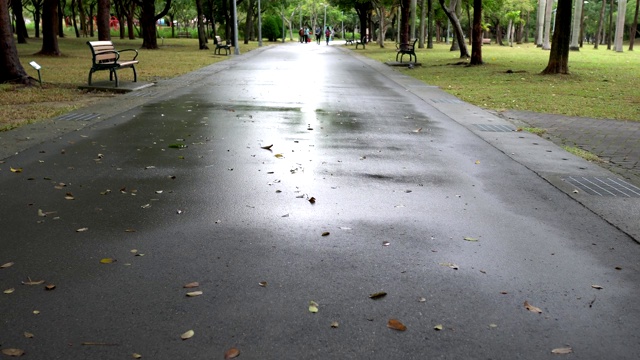 公园里的小路。在雨天。视频素材