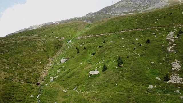 瑞士高山的森林天线视频素材