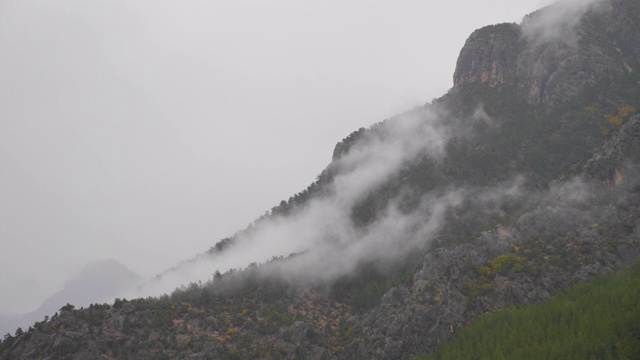 山雾和森林视频素材