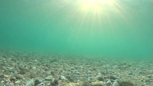 沙滩、石头和贝壳在海边的水面下。水中卵石石，自然风光。阳光透过碧绿的水面照射下来视频素材