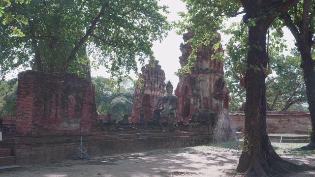 在大城府历史公园中，有古老的佛像、寺庙、树木。泰国大城府，Wat phra mahathat。视频素材