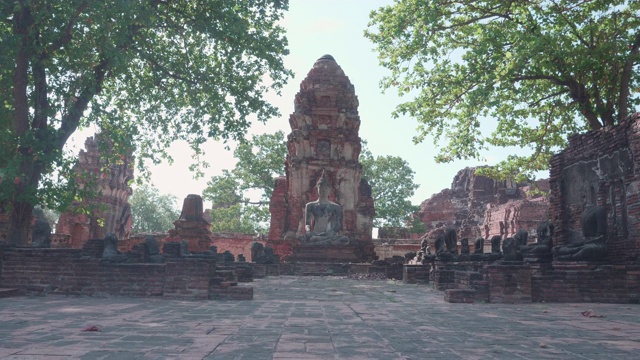 在大城府历史公园中，有古老的佛像、寺庙、树木。泰国大城府，Wat phra mahathat。视频素材