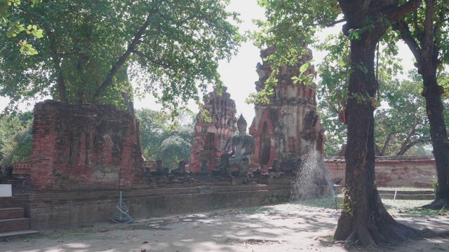 在大城府历史公园中，有古老的佛像、寺庙、树木。泰国大城府，Wat phra mahathat。放大运动视频素材