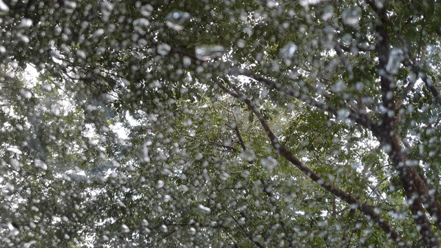 雨点落在挡风玻璃上。视频素材