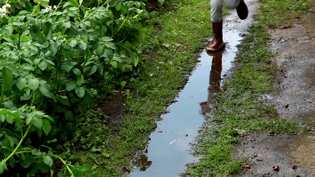 孩子们在后院的水坑里奔跑视频素材