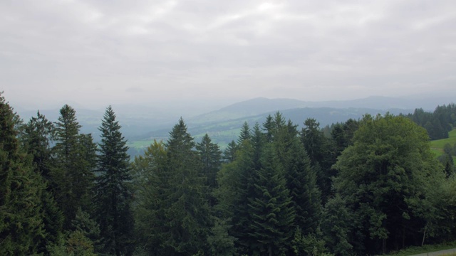 森林和山地景观云视频素材