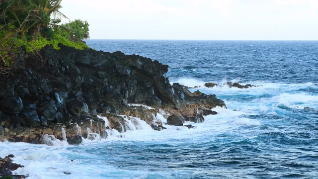 夏威夷海岸线视频素材