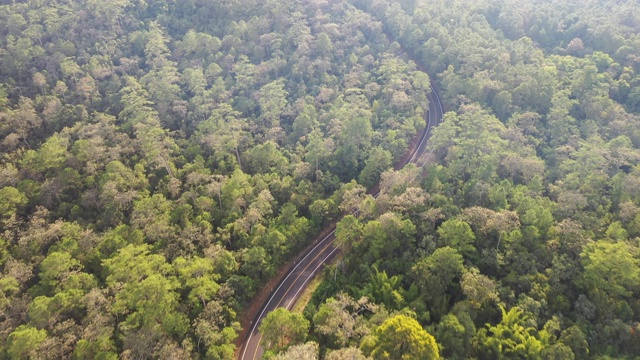 穿过绿色森林的道路鸟瞰图视频素材