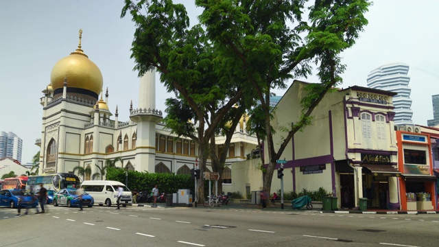 时间流逝小印度街景，新加坡视频素材画面3