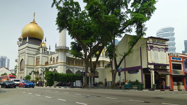 时间流逝小印度街景，新加坡视频素材画面4