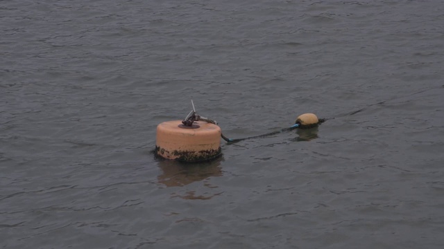 港系泊浮筒漂浮在康沃尔港视频素材