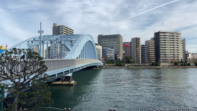 住田河景观的东京视频素材