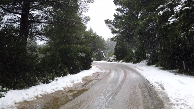 下雪的路上穿过森林视频素材