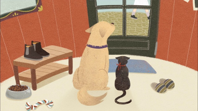 猫和狗在窗口等待主人视频素材画面2