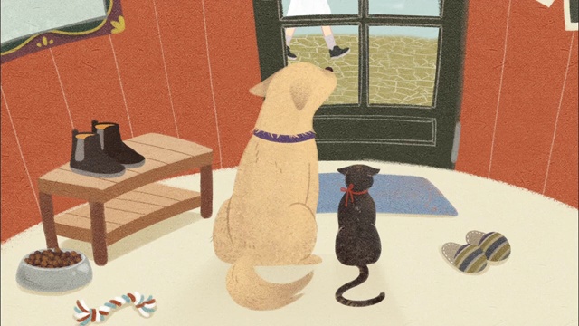 猫和狗在窗口等待主人视频素材画面4