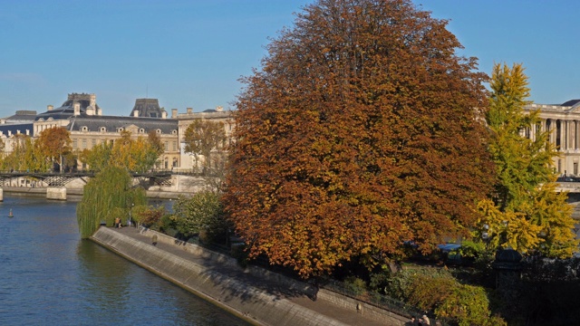 巴黎与河的笛子的有Neuf搭船,de la Cité,法国视频素材