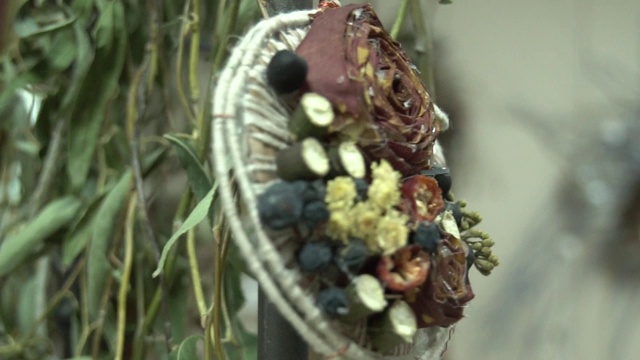 装饰藤蔓干花组成视频素材画面4