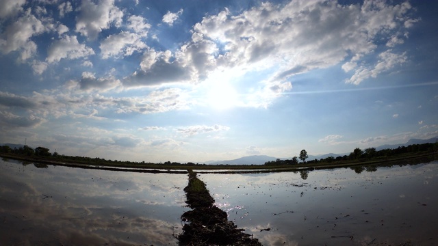 在亚洲农业在雨季的室外稻田上的蓝天和云的时间流逝。视频素材