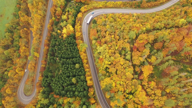 起伏的森林景观与弯弯曲曲的道路视频素材