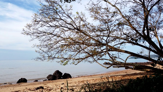 时光流逝的镜头，美丽的热带海滩下阴天和晴天视频素材