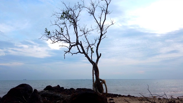 时光流逝的镜头，美丽的热带海滩下阴天和晴天视频素材