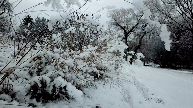 无人机视角，鸟瞰景观，霜冻覆盖的景观，非常寒冷的早晨。视频素材